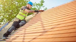 Best Roof Maintenance and Cleaning  in Ocean Ridge, FL