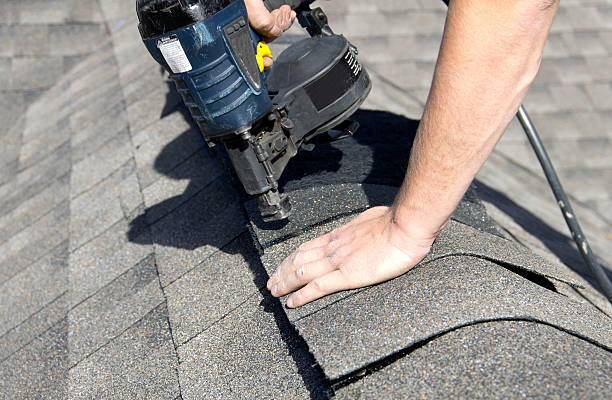 Best Skylight Installation and Repair  in Ocean Ridge, FL